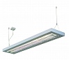 LONG GRILL 2x 28W светильник подвесной с ЭПРА для 2-х ламп Т16 G5 по 28Вт, серебристый