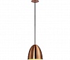 PARA CONE 20 светильник подвесной для лампы E27 60Вт макс., матированная медь