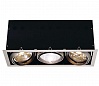 AIXLIGHT® PRO, 3 FRAME корпус с рамкой для 3-x светильников MODULE, серебристый / черный
