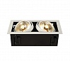 KADUX 2 ES111 светильник встраиваемый для 2-х ламп ES111 по 75Вт макс., белый