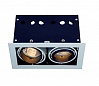 AIXLIGHT® PRO 50, 2 FRAME корпус с рамкой для 2-х светильников MODULE, серебристый / черный