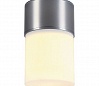 ROX ACRYL C светильник потолочный IP44 для лампы E27 20Вт макс., матированный алюминий/ белый