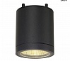 ENOLA_C OUT CL Dim to Warm светильник потолочный IP55 15Вт c LED 2000-3000К, 725лм, 35°, антрацит
